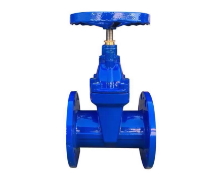Valve de porte en fonte - DN50