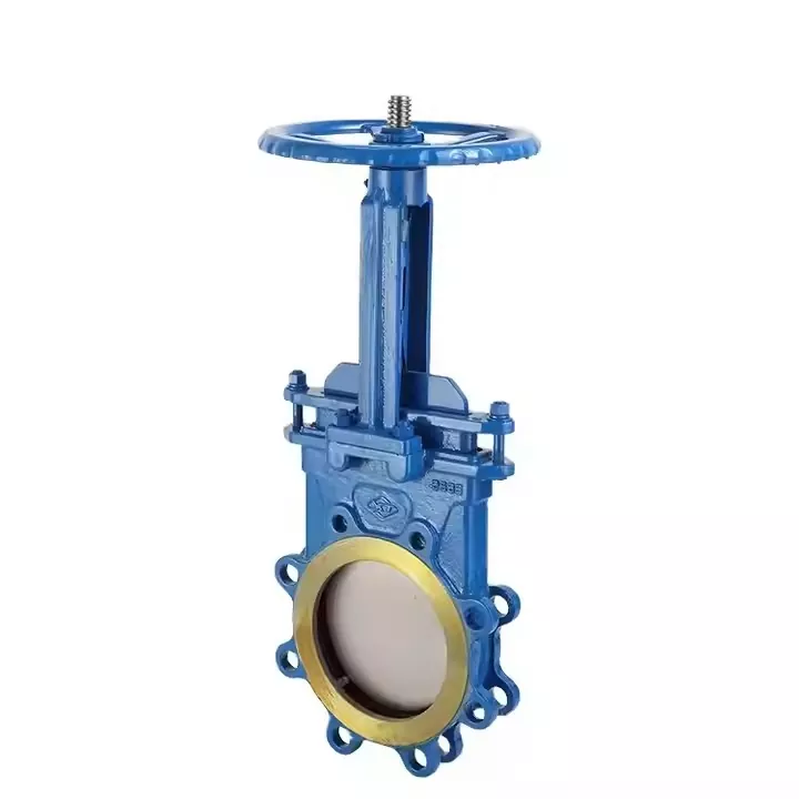 DN100 Valve de porte en fonte à bride double